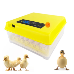 Incubateur 112 Œuf