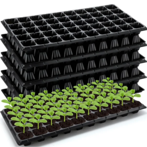 Alvéoles de pépinière